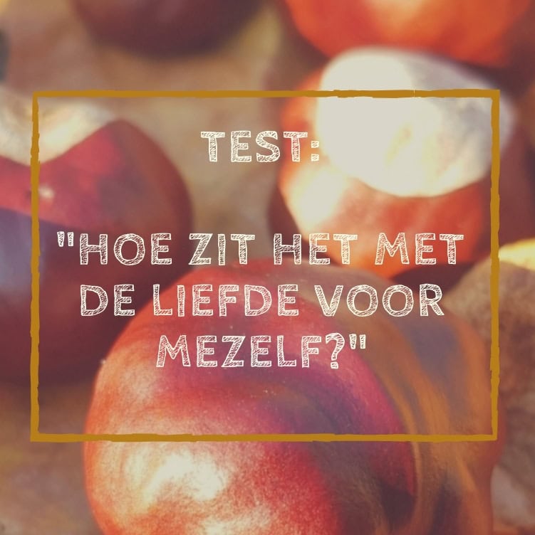 Screenshot_20201124-120443_Canva